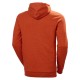 Pusa kapuutsiga HELLY HANSEN HHWW Graphic Hoodie, oranž 2