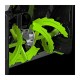 Akumuliatorinis savaeigis sniego valytuvas EGO Power+ SNT2400E 61cm 5 Akumuliatorinis savaeigis sniego valytuvas EGO Power+ SNT2400E 61cm 5