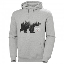 Džemperis HELLY HANSEN Graphic Hoodie, pilkas