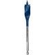 Plunksninis medžio grąžtas BOSCH Expert Ø17x152mm 1