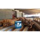Akumuliatorinis LED prožektorius BOSCH GLI 18V-10000 C Solo 7