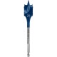 Plunksninis medžio grąžtas BOSCH Expert Ø24x152mm 1