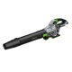 Akumuliatorinis lapų pūstuvas EGO Power+ LB6700E 4