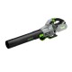 Akumuliatorinis lapų pūstuvas EGO Power+ LB6700E 6