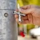 Universaaltangid KNIPEX 001104 3