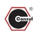 Consul tootja logo