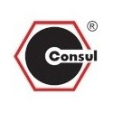 Consul logo